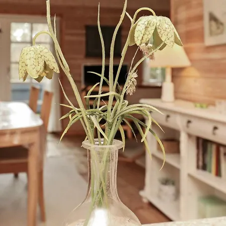 Hotel 6 Person In Bl Vand